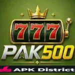 PAK500 Game