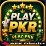 Playpkr Game