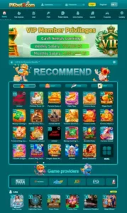 PKBet7 – Complete Guide to Features, Rewards & Online Gaming 2